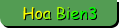 Hoa Bien3